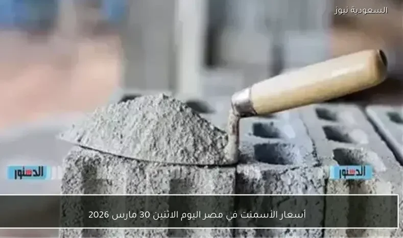 أسعار الأسمنت في مصر اليوم الاثنين 30 مارس 2026