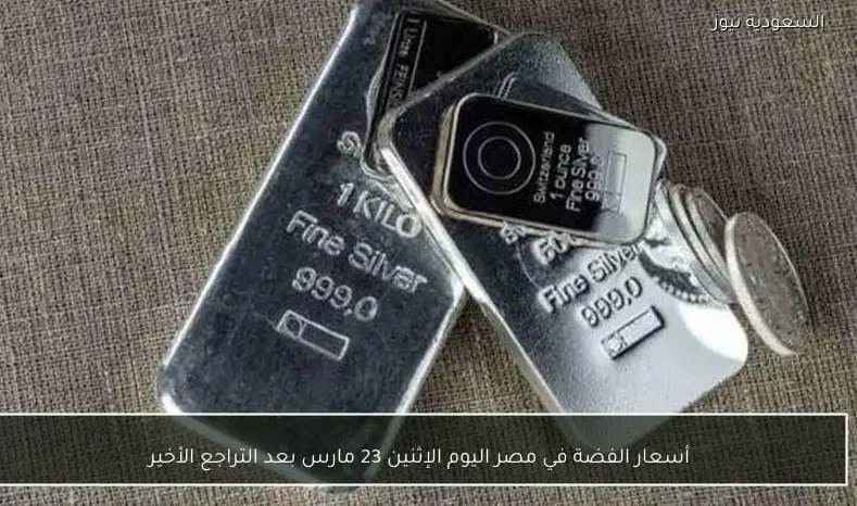 أسعار الفضة في مصر اليوم الإثنين 23 مارس بعد التراجع الأخير
