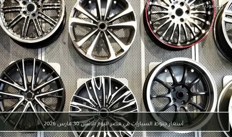 أسعار جنوط السيارات في مصر اليوم الاثنين 30 مارس 2026