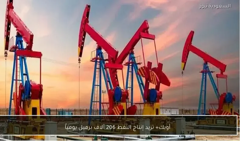 أوبك+ تزيد إنتاج النفط 206 آلاف برميل يومياً