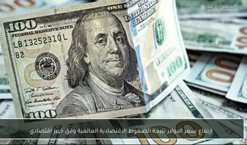 ارتفاع سعر الدولار نتيجة الضغوط الاقتصادية العالمية وفق خبير اقتصادي