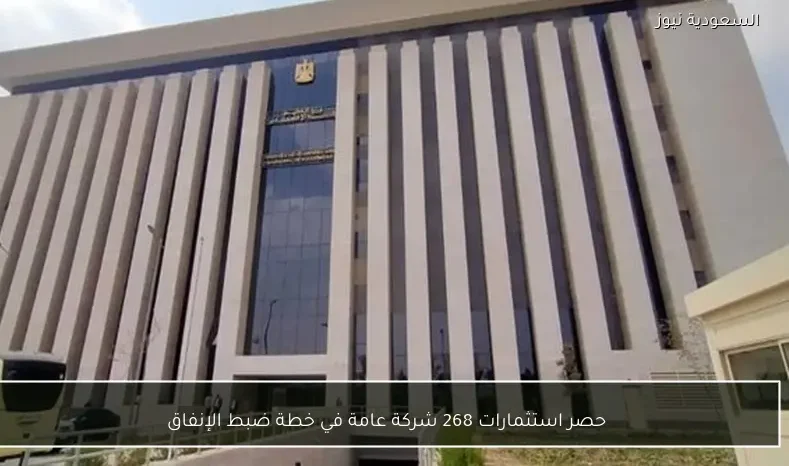 حصر استثمارات 268 شركة عامة في خطة ضبط الإنفاق