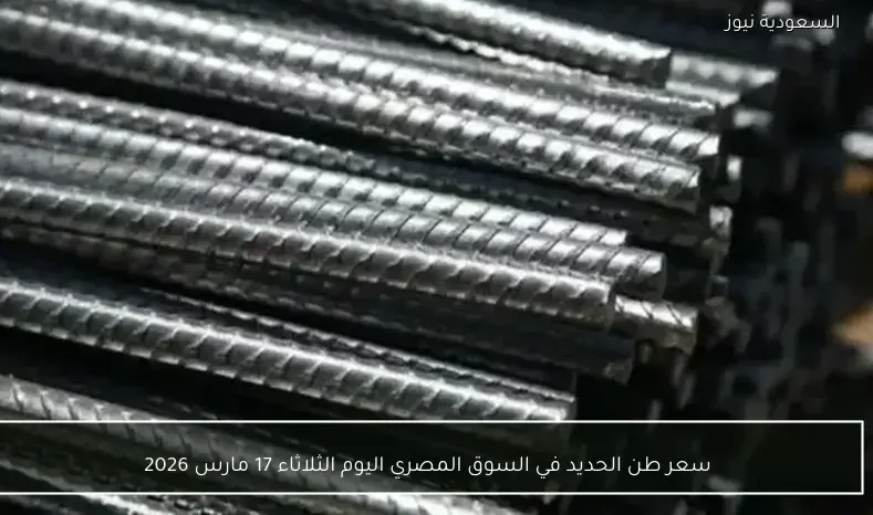 سعر طن الحديد في السوق المصري اليوم الثلاثاء 17 مارس 2026