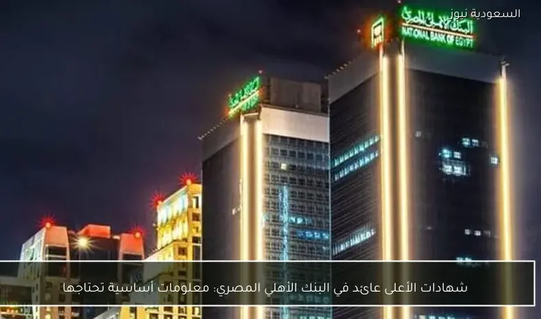 شهادات الأعلى عائد في البنك الأهلي المصري: معلومات أساسية تحتاجها