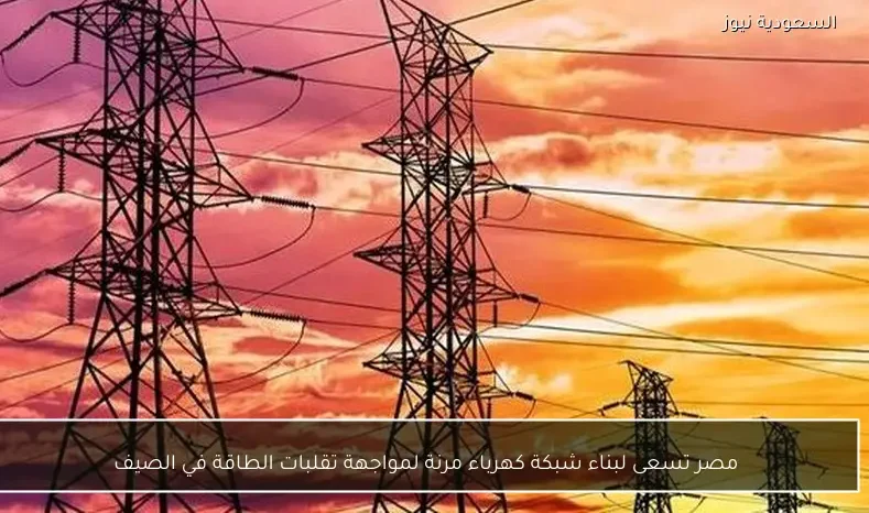 مصر تسعى لبناء شبكة كهرباء مرنة لمواجهة تقلبات الطاقة في الصيف