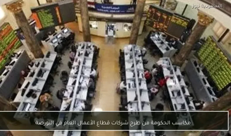 مكاسب الحكومة من طرح شركات قطاع الأعمال العام في البورصة