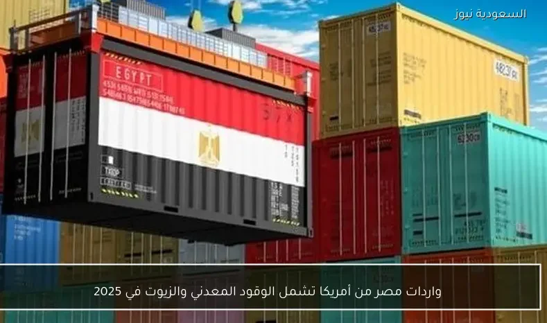 واردات مصر من أمريكا تشمل الوقود المعدني والزيوت في 2025
