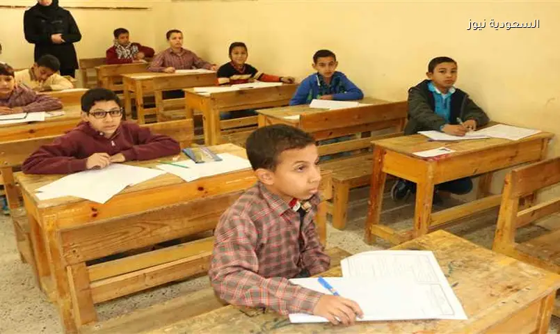 بإدخال رقم الجلوس gizaedu.. بوابة التعليم الأساسي محافظة الجيزة نتيجة صفوف النقل 2026