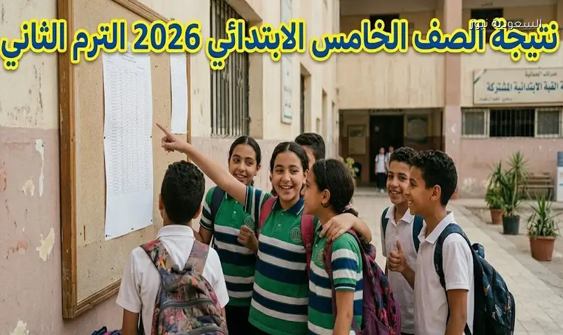 بالرقم القومي.. رابط نتيجة الصف الخامس الابتدائي بالقاهرة 2026 الترم الثاني