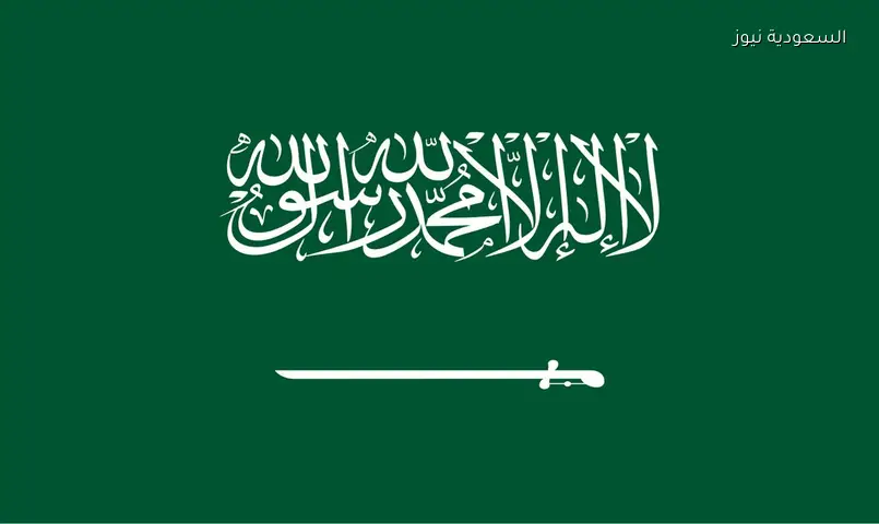 بشرى الوافدين المصريين.. تنظيم تشغيل المرافقين والمرافقات للعمالة في القطاع الخاص السعودي