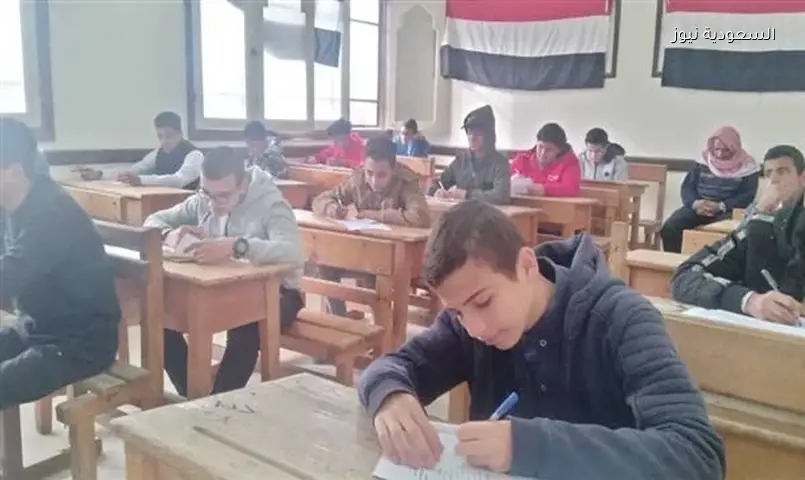 إستظهار نتيجة الصف السادس الابتدائي 2026 البحيرة وأسيوط.. طرق الاستعلام إلكترونيا