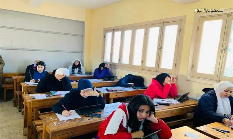 نتيجة الصف السادس الابتدائي الترم الثاني برقم الجلوس محافظة الجيزة والإسكندرية والشرقية 2026